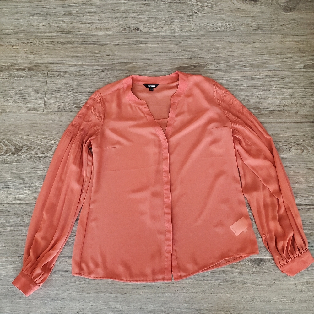 Express Split‎ V-Neck Sheer Button Down Blouse